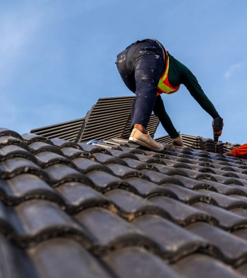 professionals installing new roof
